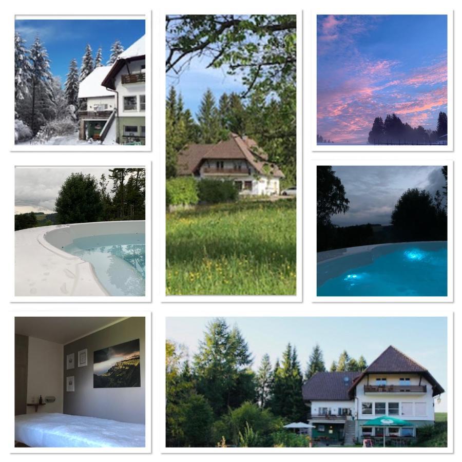 B & B Der Waldvogel Herrischried ภายนอก รูปภาพ