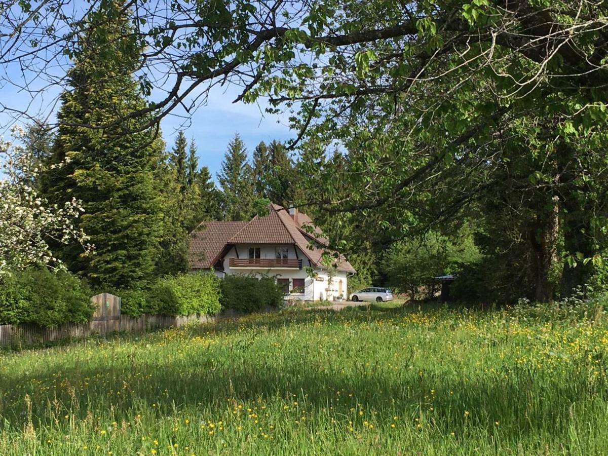 B & B Der Waldvogel Herrischried ภายนอก รูปภาพ