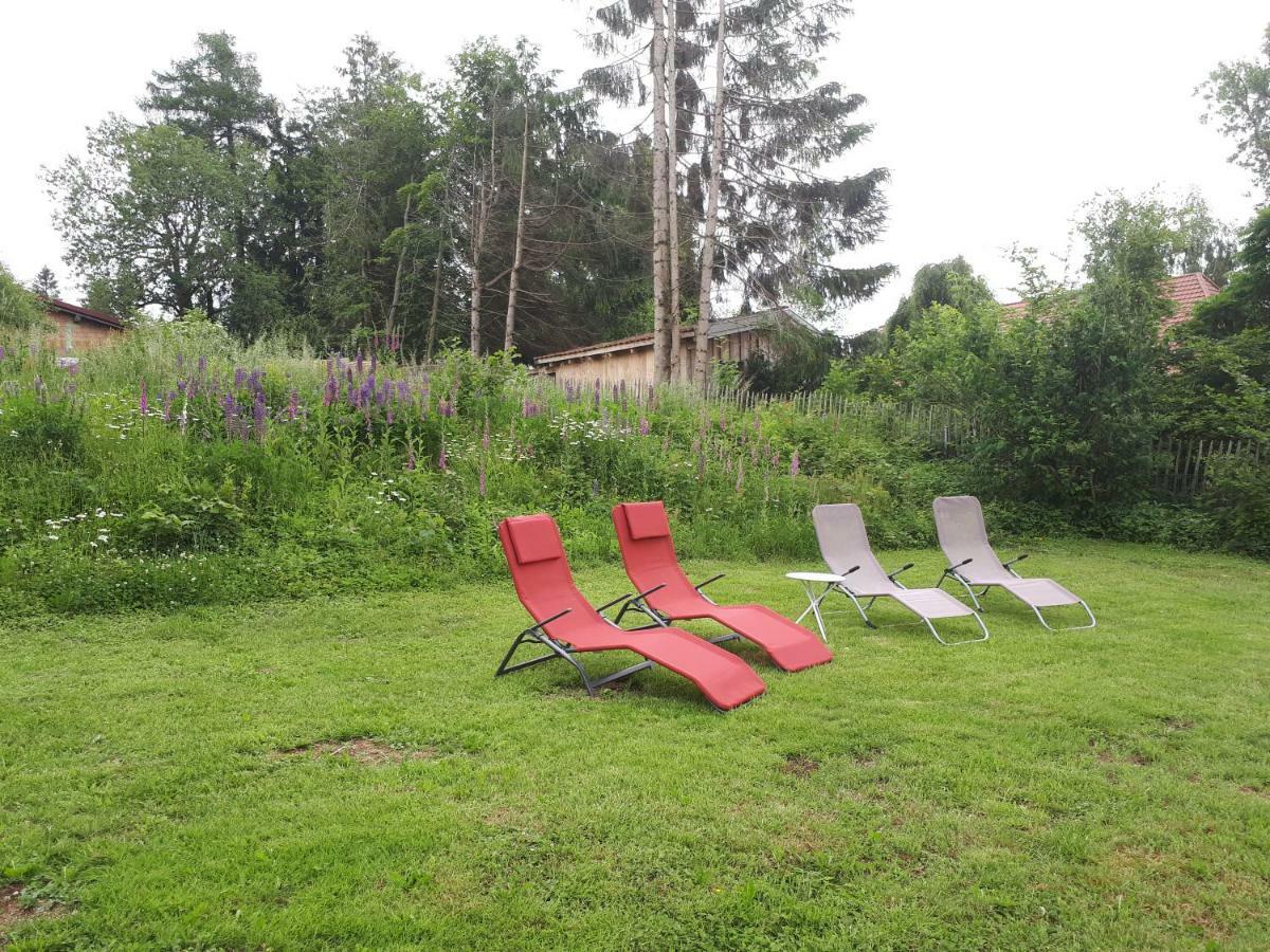 B & B Der Waldvogel Herrischried ภายนอก รูปภาพ